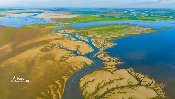 江西都昌：鄱陽湖現(xiàn)“大地之樹”景觀